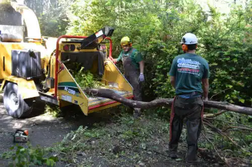 tree services Louisville